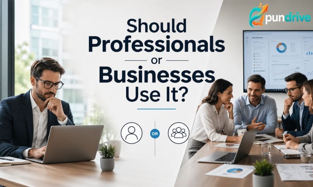 Should Professionals or Businesses Use It