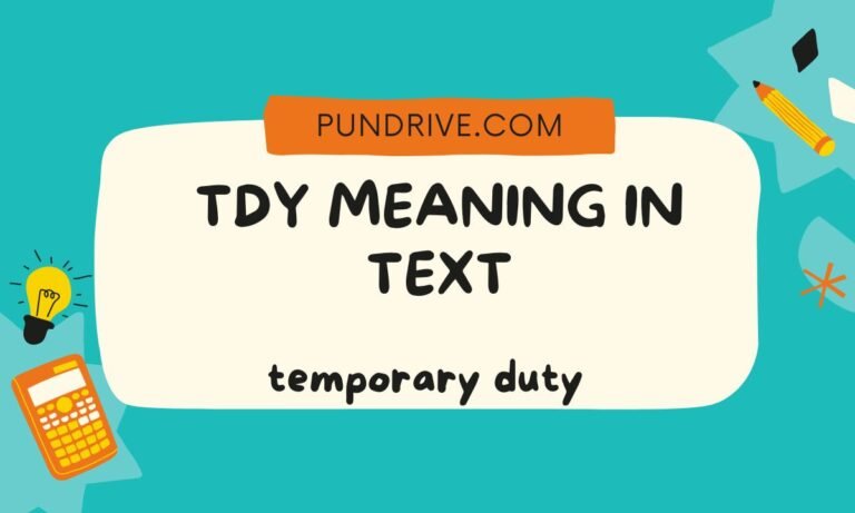 TDY MEANING IN TEXT