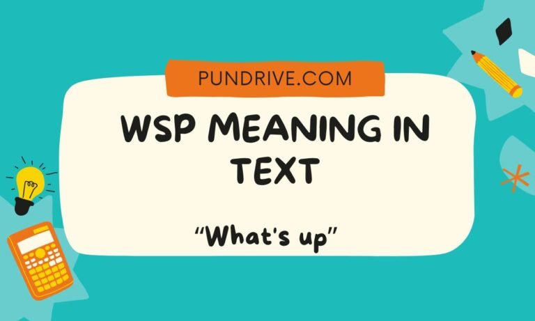 WSP meaning in text
