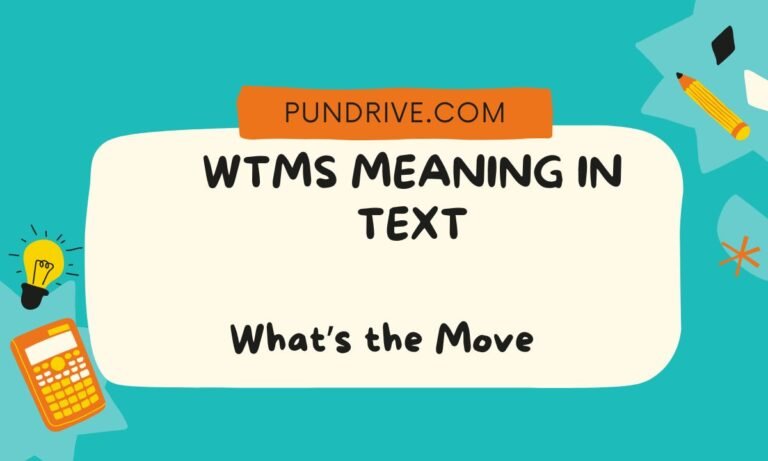 WTMS MEANING IN TEXT (1)