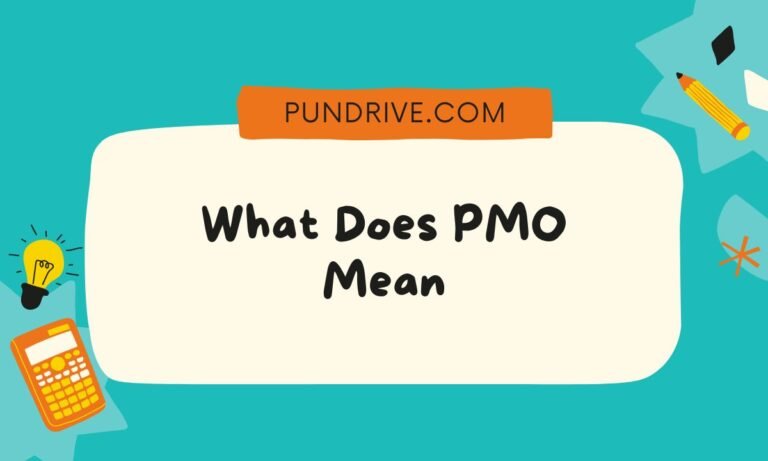 What Does PMO Mean (1)